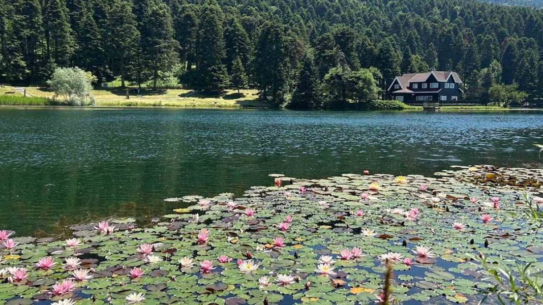 Fotoğraf çekeyim derken hayatının şokunu yaşayabilirsin: Yanına yaklaşana bile ceza yağacak 9